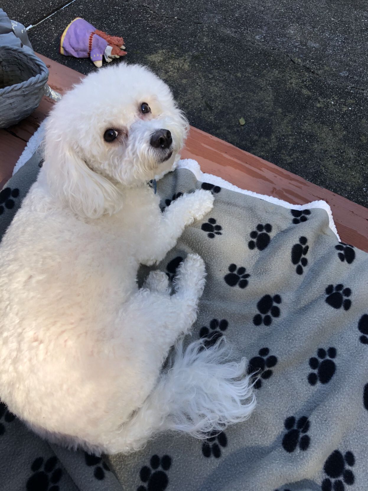 Bailey